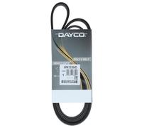 Cinghia Poly-V Dayco per Freightliner Century Columbia FLD/FLD Classic 6PK1510HD