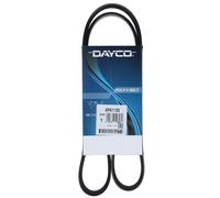 Cinghia Poly-V Dayco per Nissan Opel Renault Ford Suzuki Toyota Peugeot e altri