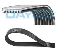 Dayco Cinghia Poly-V 7PK1557S per Dacia, Nissan, Renault