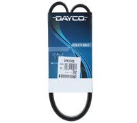 DAYCO 5PK1000 Cinghia servizi