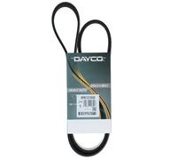 Cinghia Poly-V Dayco per Veicoli Camion/Bus Mercedes-Benz Serie Actros 8PK1215HD