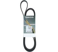 Cinghia Poly-V Dayco per Veicoli HD Camion/Bus Freightliner Gaz 8PK2160HD