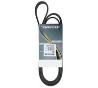 Cinghia Poly-V Dayco per Veicoli HD Freightliner FL 60 FL 70 FL 80 8PK1765HD