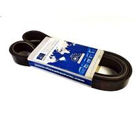 Cinghia poly-V DT SPARE PARTS 1.21194 per SCANIA 4 - series 8.974 1996-2008
