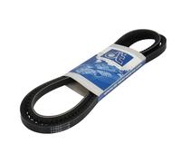 Cinghia Poly-V DT Spare Parts 1.21208