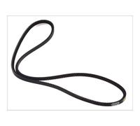 Cinghia Poly-V DT Spare Parts 1.21214