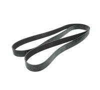 Cinghia Poly-V DT Spare Parts 1.21896