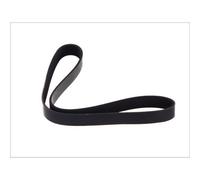 Cinghia Poly-V DT Spare Parts 2.15365