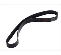 Cinghia poly-V DT SPARE PARTS 2.15367 VOLVO FH16 16.12 1993-1999