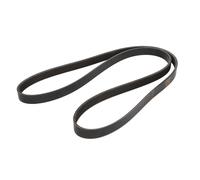 Cinghia Poly-V DT Spare Parts 2.15556