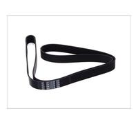 Cinghia Poly-V DT Spare Parts 2.15557