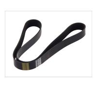 Cinghia Poly-V DT Spare Parts 2.21055
