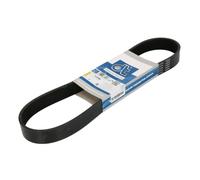 Cinghia Poly-V DT Spare Parts 2.21058