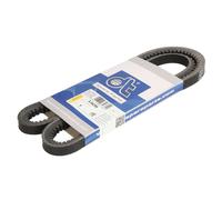 Cinghia Poly-V DT Spare Parts 3.34235