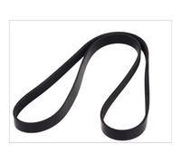 Cinghia Poly-V DT Spare Parts 3.34338