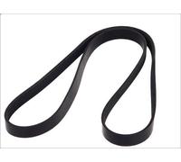 Cinghia poly-V DT SPARE PARTS 3.34338 per MAN NG 6.871 1992-1998