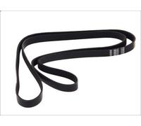 Cinghia poly-V DT SPARE PARTS 3.34345 per MAN NG 6.871 1992-1998