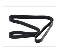 Cinghia Poly-V DT Spare Parts 4.80543