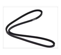 Cinghia Poly-V DT Spare Parts 4.80560