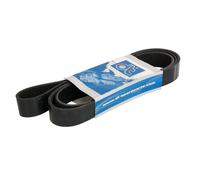 Cinghia Poly-V DT Spare Parts 4.80708