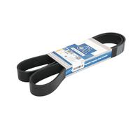 Cinghia Poly-V DT Spare Parts 4.80752