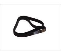 Cinghia poly-V DT SPARE PARTS 4.81015 FORD KUGA I 2 2008-2012