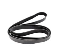 Cinghia Poly-V DT Spare Parts 4.81019