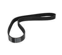 Cinghia Poly-V DT Spare Parts 4.81104