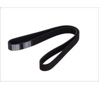 Cinghia poly-V DT SPARE PARTS 5.41410 per MAZDA 5 (CR) 2 2005-201