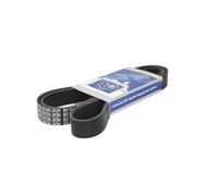 Cinghia Poly-V DT Spare Parts 5.41539