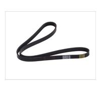 Cinghia Poly-V DT Spare Parts 6.31507