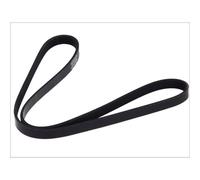 Cinghia Poly-V DT Spare Parts 6.31508