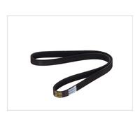 Cinghia Poly-V DT Spare Parts 6.31511