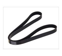 Cinghia Poly-V DT Spare Parts 6.31515