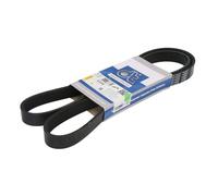 Cinghia Poly-V DT Spare Parts 6.31516