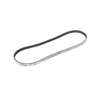 Cinghia Poly-V DT Spare Parts 7.54800