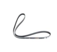 Cinghia Poly-V DT Spare Parts 7.54802