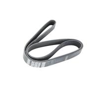Cinghia Poly-V DT Spare Parts 7.54808
