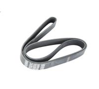 Cinghia Poly-V DT SPARE PARTS 7.54808 per IVECO EUROFIRE II 5.883 2000-2007