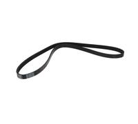 Cinghia Poly-V DT Spare Parts 7.54817
