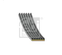 Cinghia poly-V FEBI 185841 per AUDI Q5 (FYB, FYG) 3 2019-2020