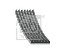 Cinghia Poly-V FEBI BILSTEIN 181652