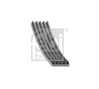 Cinghia Poly V Febi Bilstein 28866 per Opel Suzuki Vauxhall General Motors