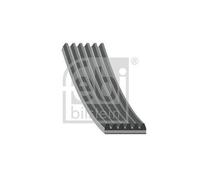 Cinghia Poly V Febi Bilstein 39794 per Fiat Per Veicoli Con Aria Condizionata