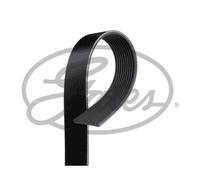 Cinghia Poly-V GATES 10PK1430HD