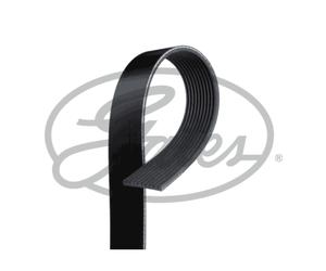 Cinghia Poly-V GATES 10PK1590HD