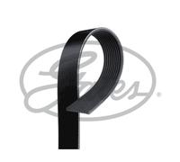 Cinghia Poly-V GATES 10PK2240HD