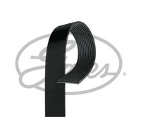 Cinghia Poly-V GATES 11PK2040HD