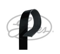 Cinghia Poly-V GATES 12PK1835HD