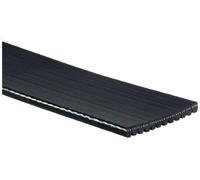 Cinghia poly-V GATES 12PK1890HD per IVECO S-WAY 12.882 2019-